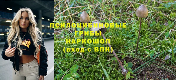 твердый Вяземский