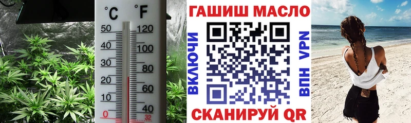 ТГК THC oil  дарк нет официальный сайт  Елизово 