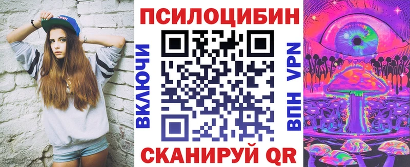 Псилоцибиновые грибы Psilocybe  Елизово 
